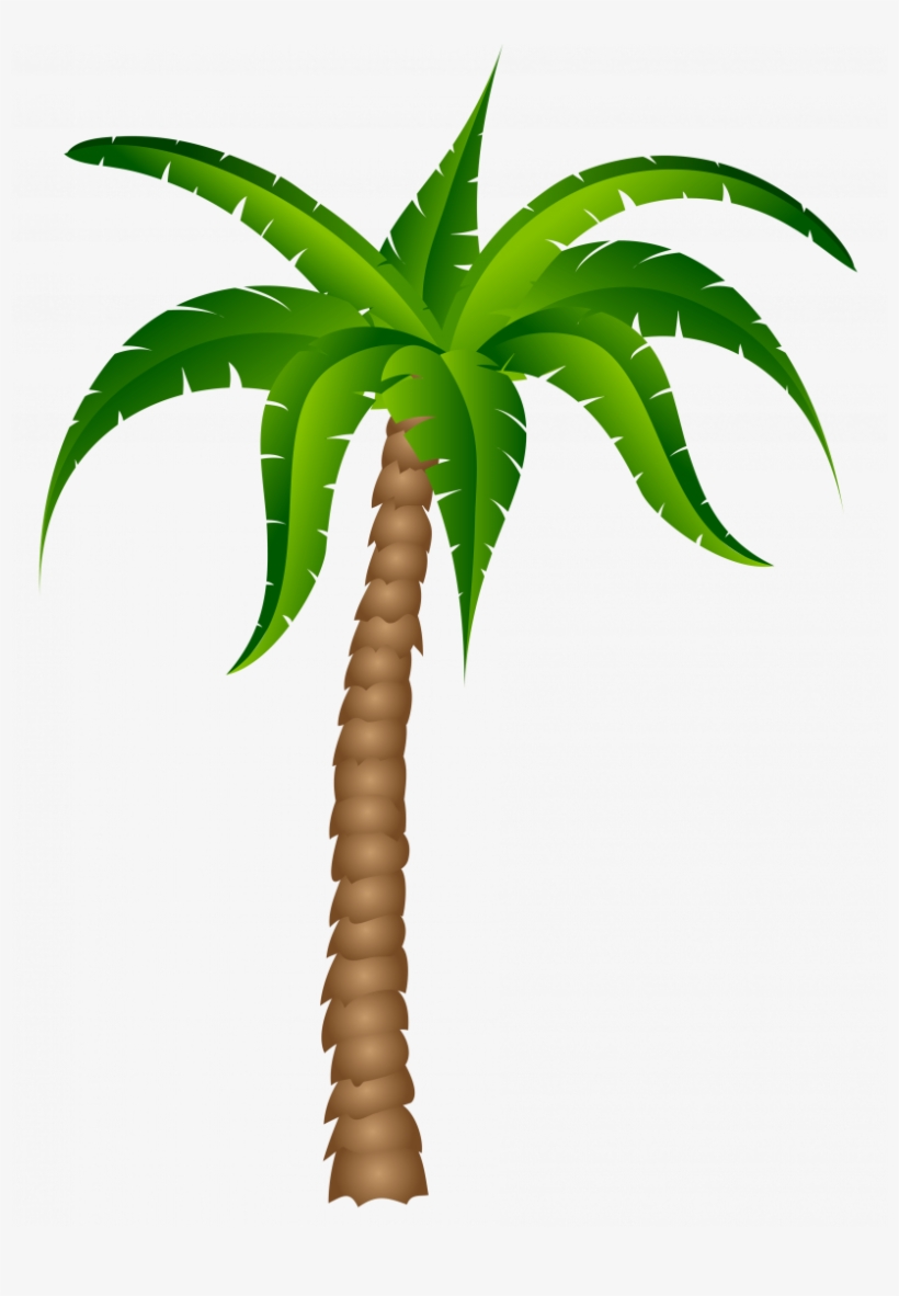 820x1182 Drawing Street Palm Tree