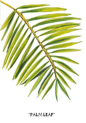 300x432 Palm Leaf Ideas For Tara's Pinturas De Hoja, Hojas Pintadas