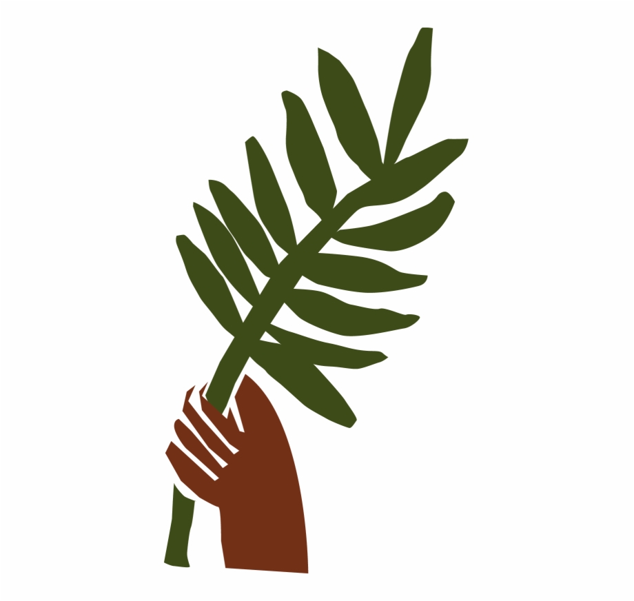 Palm Frond Drawing | Free download on ClipArtMag