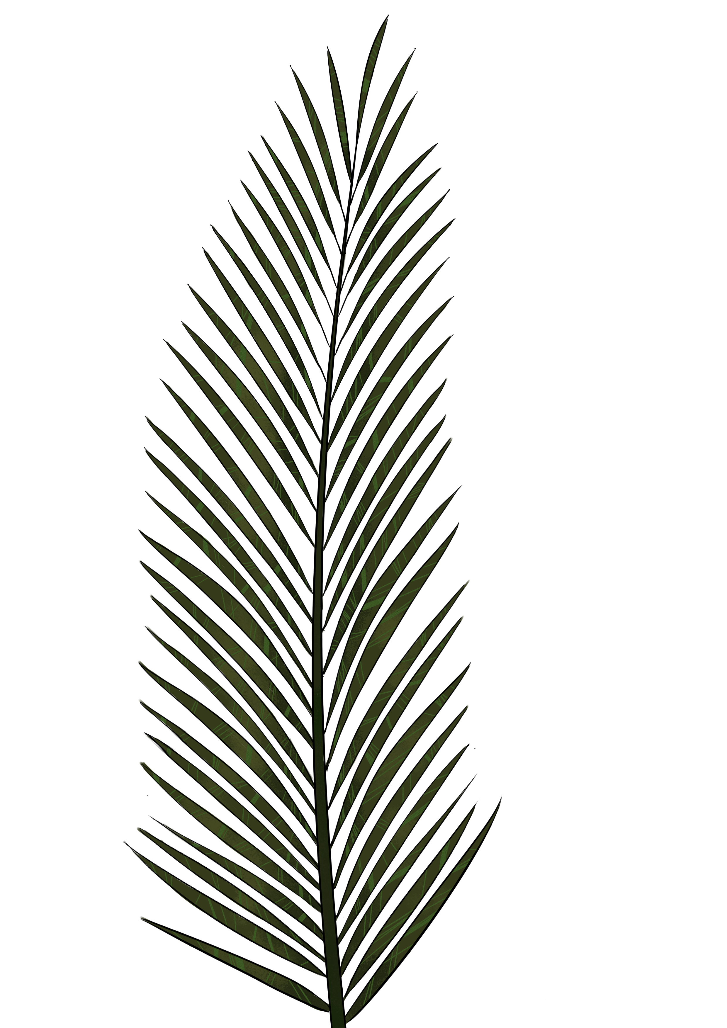 Palm Branch Template