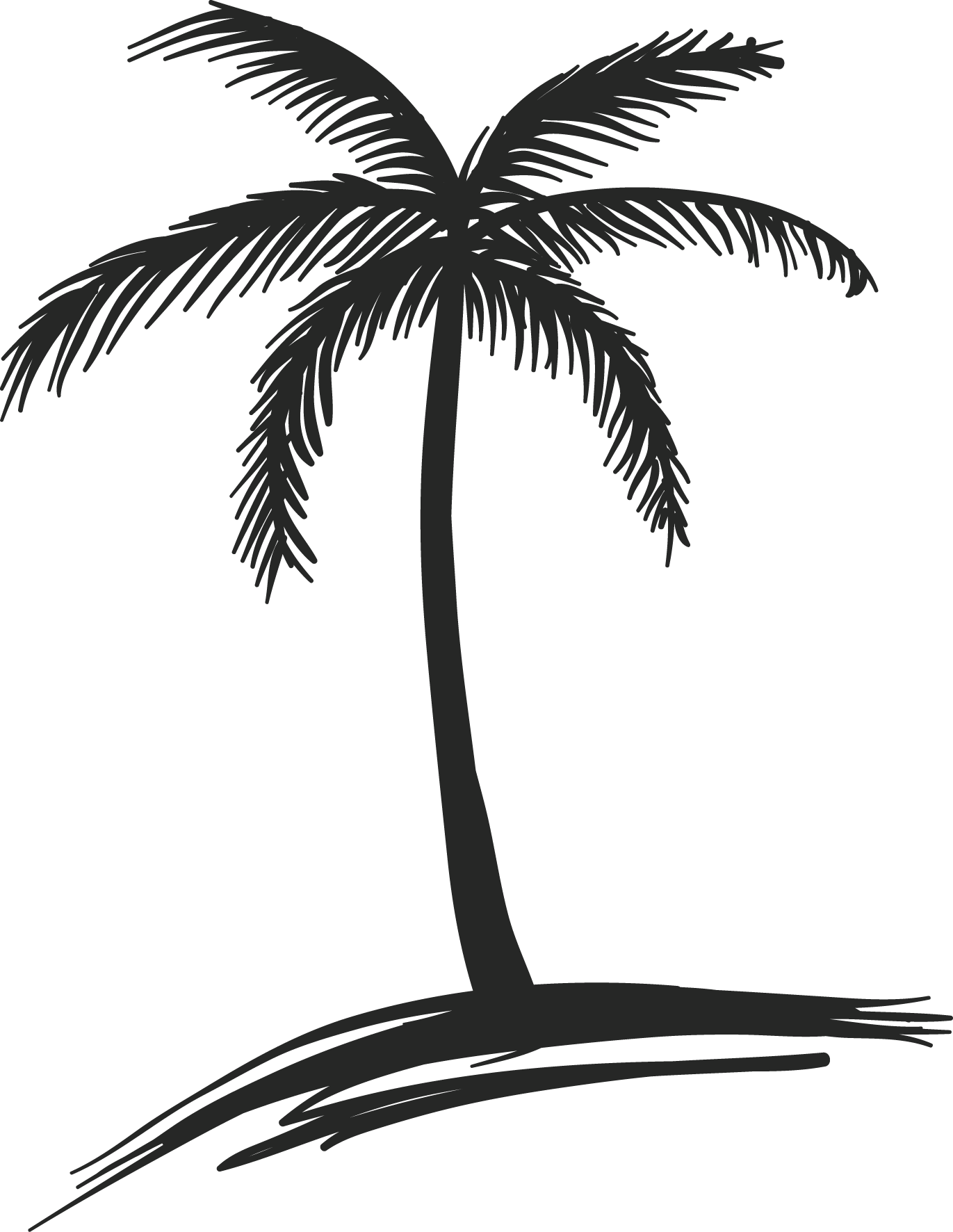 1371x1772 Palm Leaf Drawing Transparent Png Clipart Free Download
