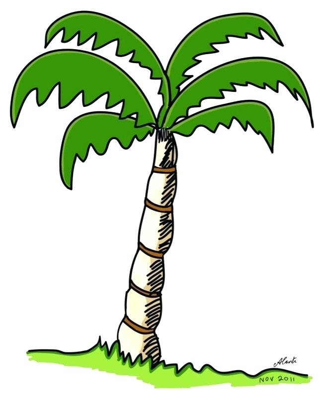 Palm Frond Drawing | Free download on ClipArtMag