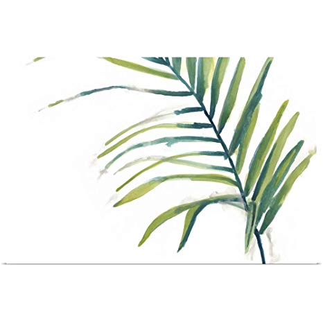 466x466 Greatbigcanvas Poster Print Entitled Palm Wonderful V