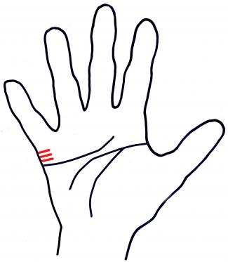 325x373 Palm Reading Marriage Lines Lovetoknow