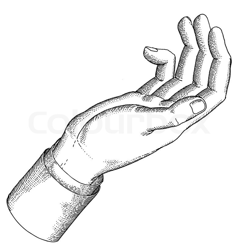 800x800 The Holdinghand With Open Palm Gesture Stock Vector Colourbox