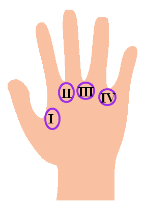 281x400 Drawing Veins Palm Hand, Picture