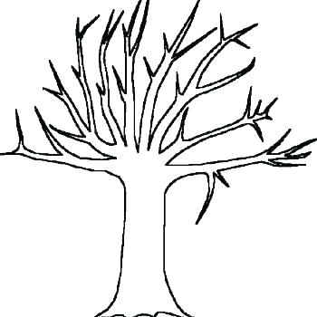 350x350 Palm Leaves Coloring Pages Tree Leaf