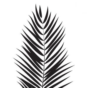 300x300 Silhouette Palm Branch Tropical Leaf Vector Sohadacouri