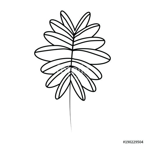 500x500 tropical palm leaves drawing in vintage stock vector of tropical