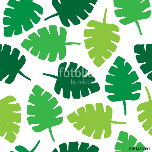500x500 Tropical Palm Leaf Seamless Pattern, Vector Illustration Drawing