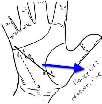 333x342 Money Wealth Line In Palmistry Chirology Palmistry, Palm