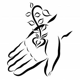 275x275 Palm Hand Photos And Images