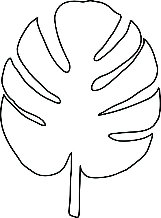 557x753 palm leaf outline vector hand drawn palm leaf outline doodle icon