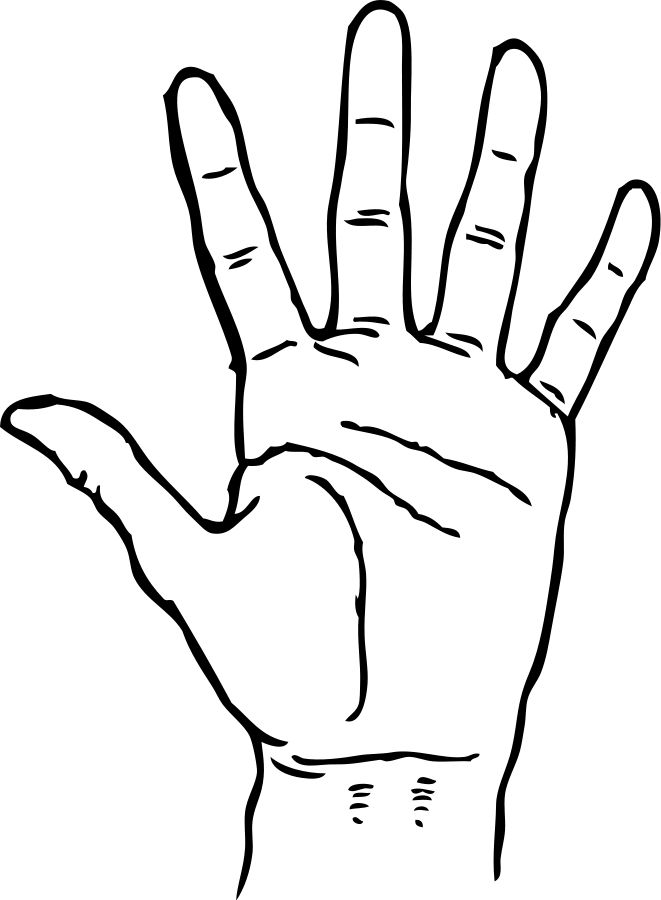 661x900 Palm Hands Clipart, Explore Pictures