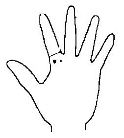 253x282 Spots On Hand