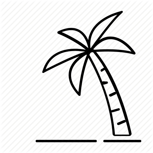 512x512 Drawing Beach Coconut Tree Transparent Png Clipart Free Download