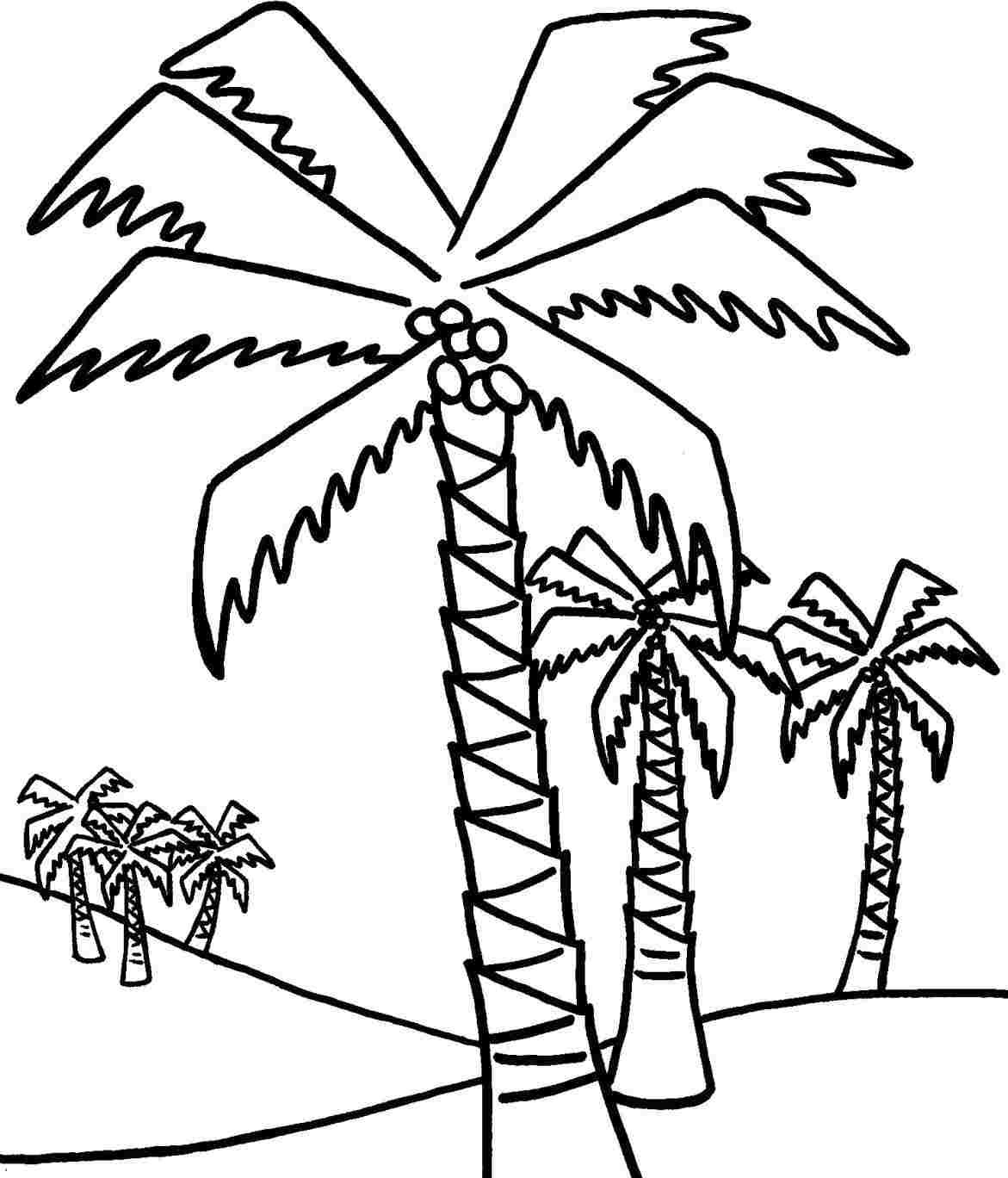 1171x1368 Palm Tree Beach Drawing Color Drawing Fine Art