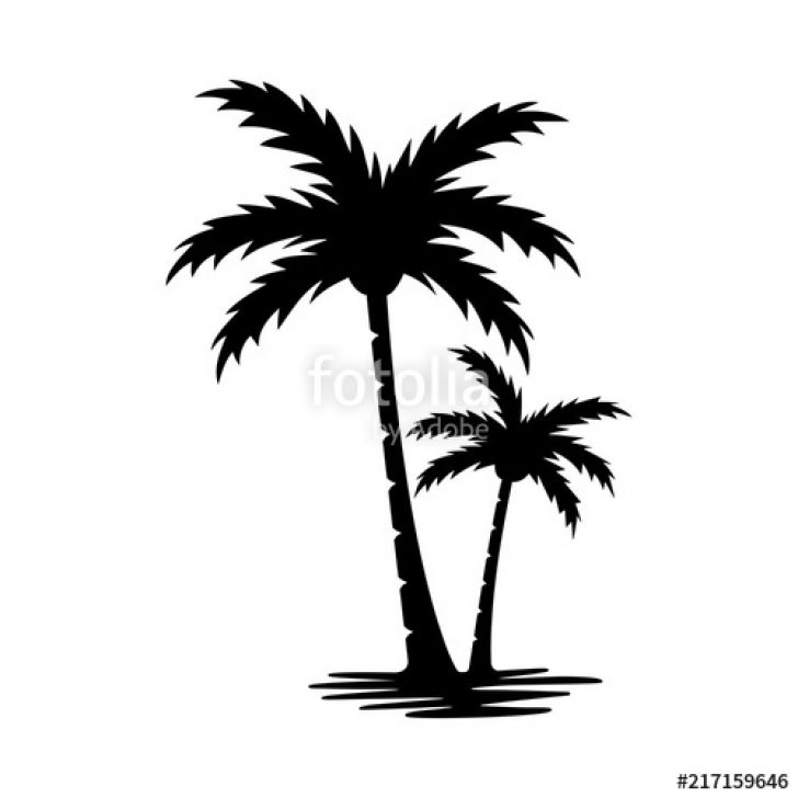 728x728 Beach Palm Tree Silhouette