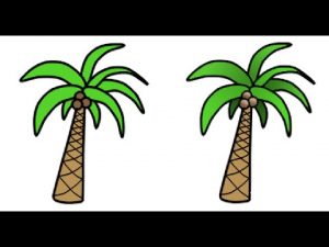 300x225 Drawing Of A Palm Tree