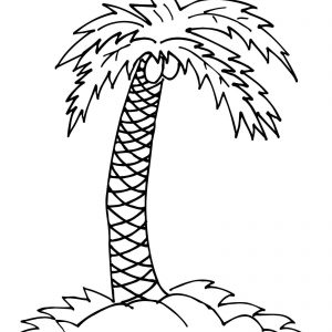 300x300 How To Draw A Cartoon Palm Trees Archives