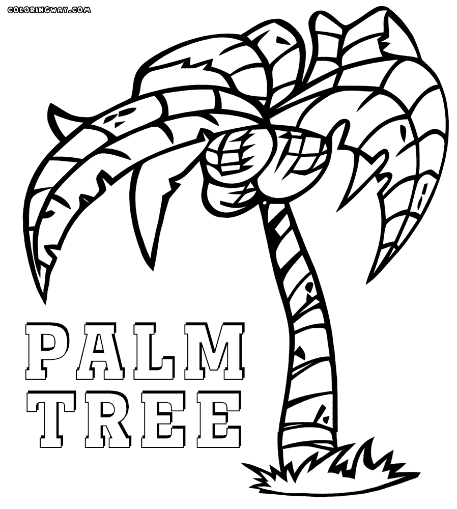 898x1000 Palm Tree Cartoon Drawing