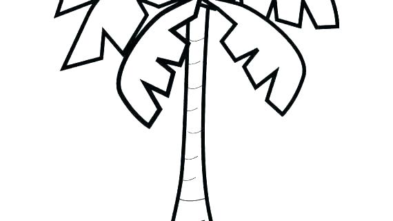 570x320 Line Drawing Palm Tree