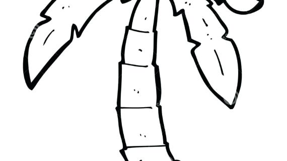 570x320 drawing a palm tree how to draw a palm tree easy drawing palm tree