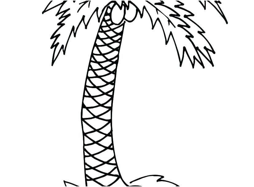 827x609 Coloring Pages For Adults Halloween Pdf Animals Collection Of Palm