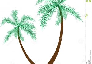 300x210 Drawing A Palm Tree How To Draw A Palm Tree