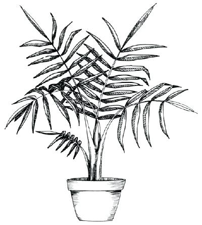 400x445 Palm Drawing Human Palm Outline Palm Tree Drawing Easy