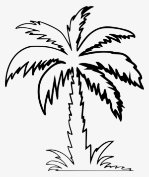300x356 Palm Png,  Free Hd Palm Transparent Image