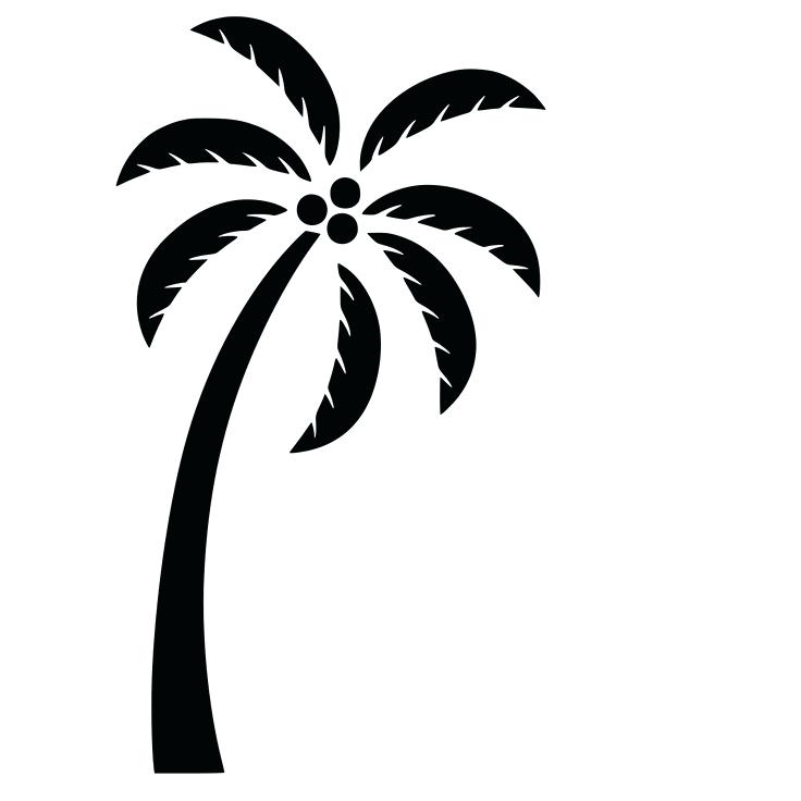 Palm Tree Drawing Outline | Free download on ClipArtMag