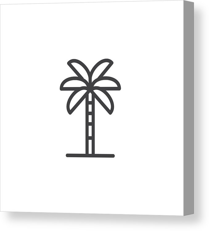 678x750 Palm Tree Outline Icon Canvas Print Canvas Art