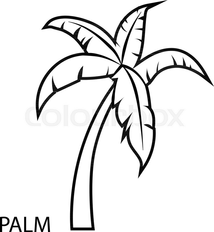 739x800 Palm Tree Icon Outline Illustration Stock Vector Colourbox