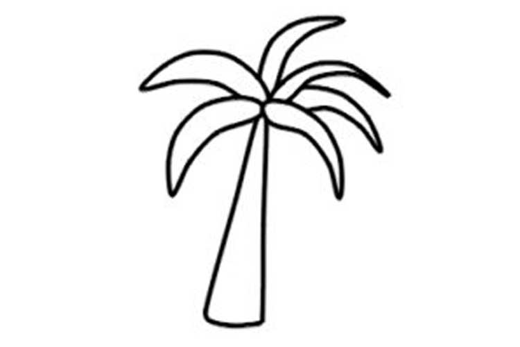 750x500 How To Draw A Palm Tree Step