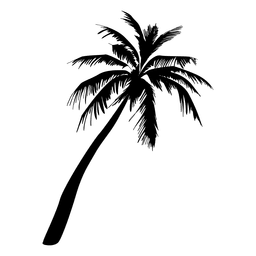 Easy Palm Tree Drawing | Free download on ClipArtMag