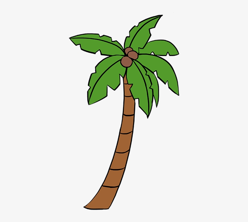 820x734 How To Draw Palm Tree