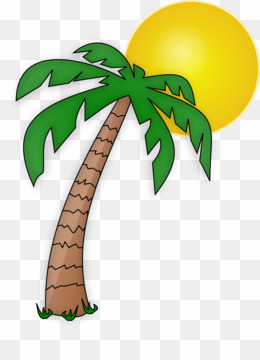 260x360 Palm Tree Cartoon Drawing Png Drawing Cartoon Clipart Download