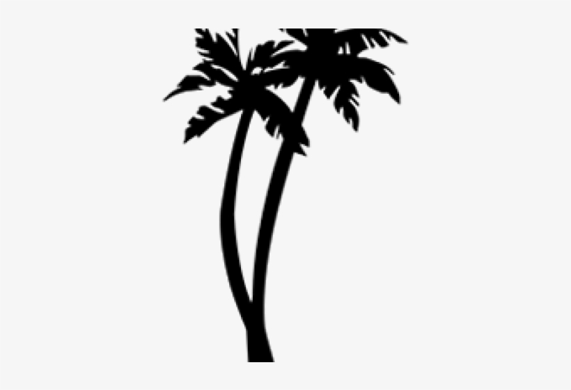 820x561 Palm Tree Drawing