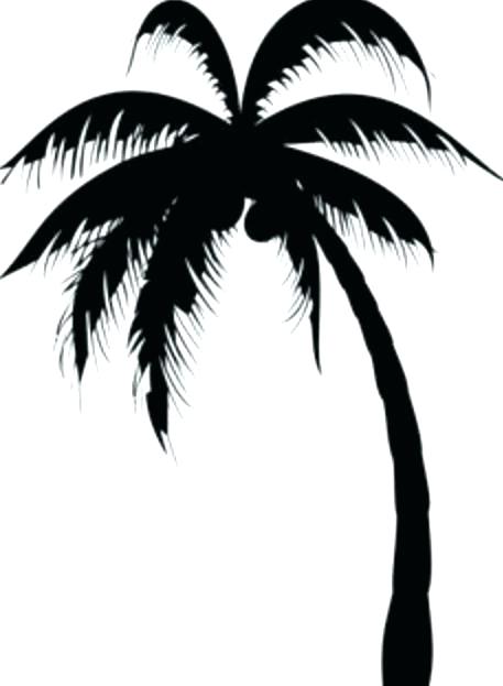 Palm Tree Drawing Png | Free download on ClipArtMag