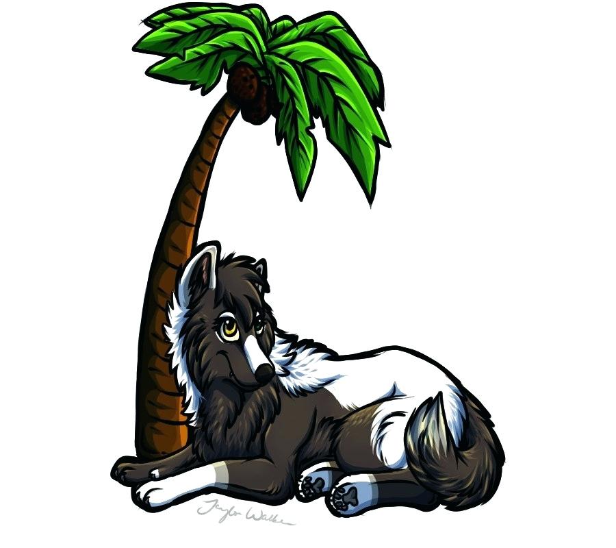 900x800 Palm Tree Drawings How To Draw Coconut Tree Art Drawing In Palm