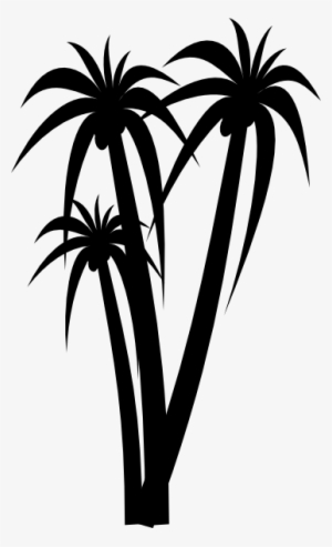 300x493 Palm Tree Png, Transparent Palm Tree Png Image Free Download