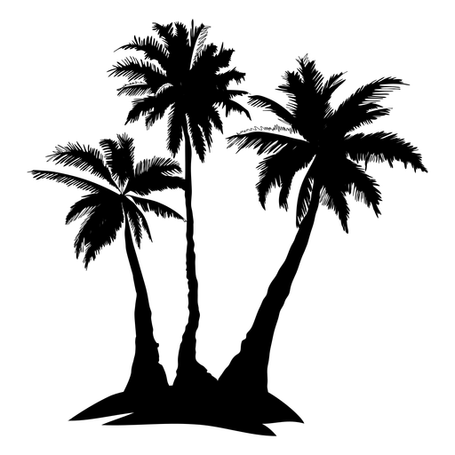 512x512 Palm Tree Png Transparent Palm Tree Png Images