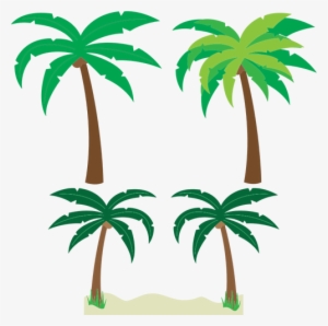 300x298 Palm Tree Vector Png Download Transparent Palm Tree Vector Png
