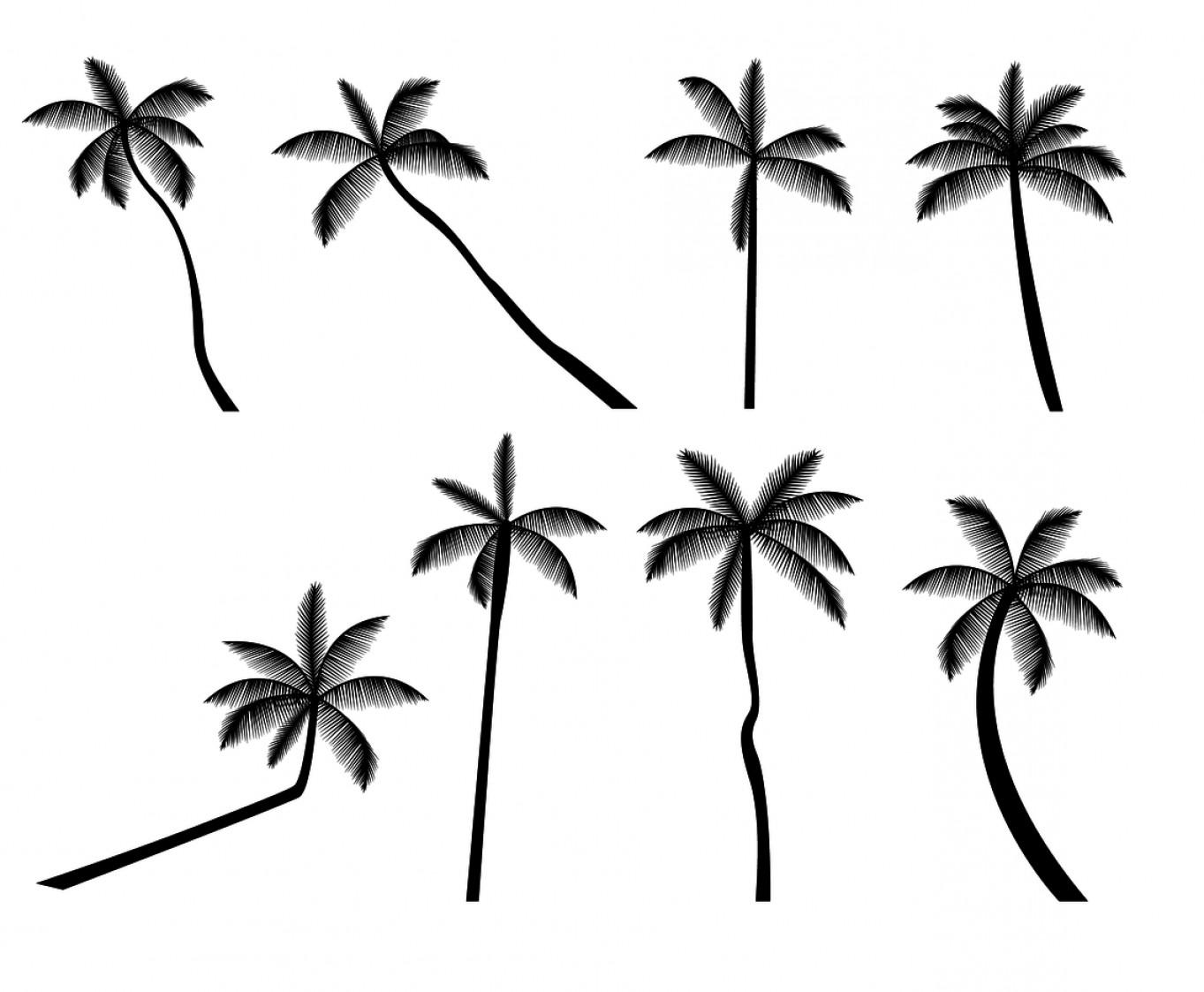 1363x1123 Palm Trees Png Black Silhouette Vector Soidergi