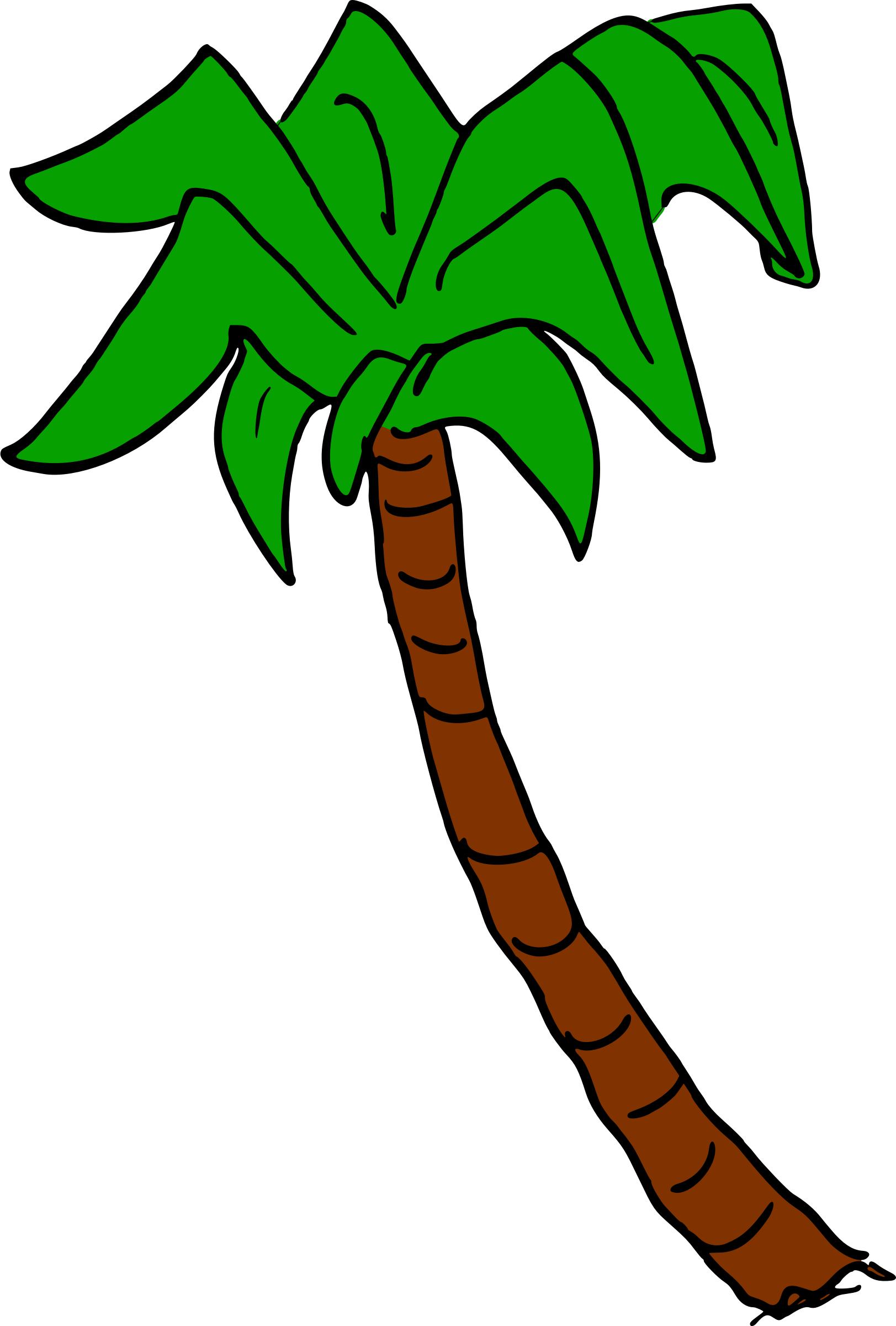 Palm Tree Drawing Png | Free download on ClipArtMag