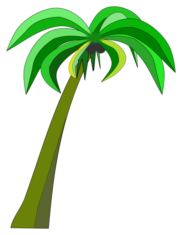 581x750 Palm Trees Coconut Can Stock Photo Drawing Cc0