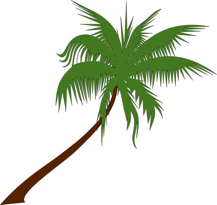760x720 Palm Trees Clipart Png Collection