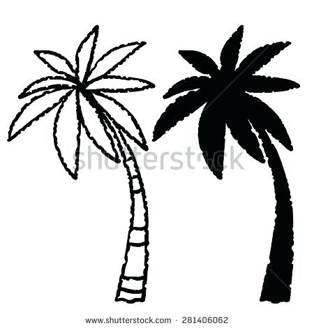 450x470 How To Draw A Palm Tree Leaf Full Size Of Coloring Pages
