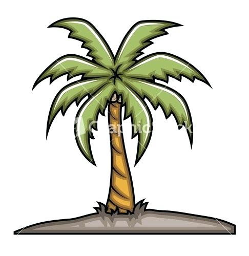 486x500 How To Draw Palm Trees Easy The Best Tree Outline Ideas On Simply